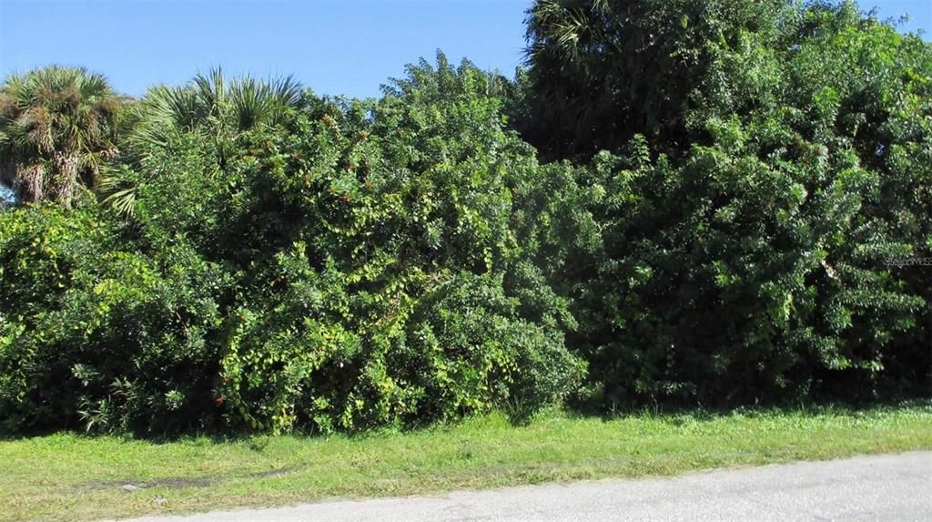 For Sale: $29,000 (0.24 acres)