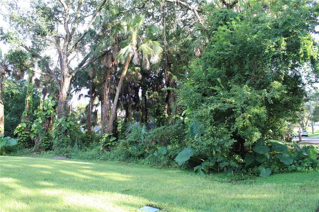 待售: $80,000 (0.28 acres)