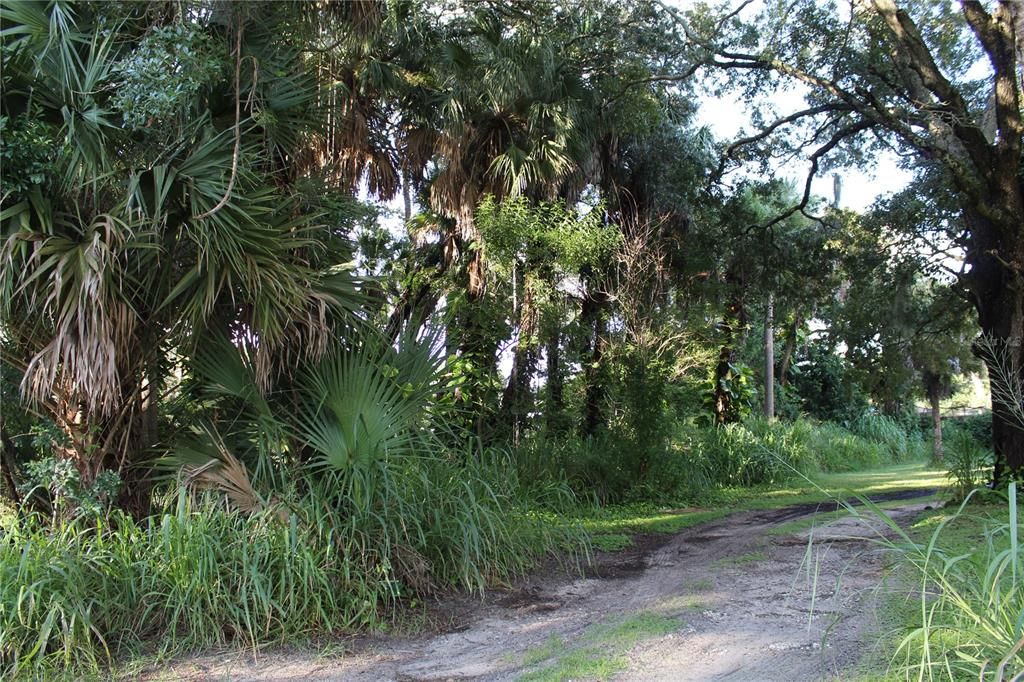 待售: $80,000 (0.28 acres)