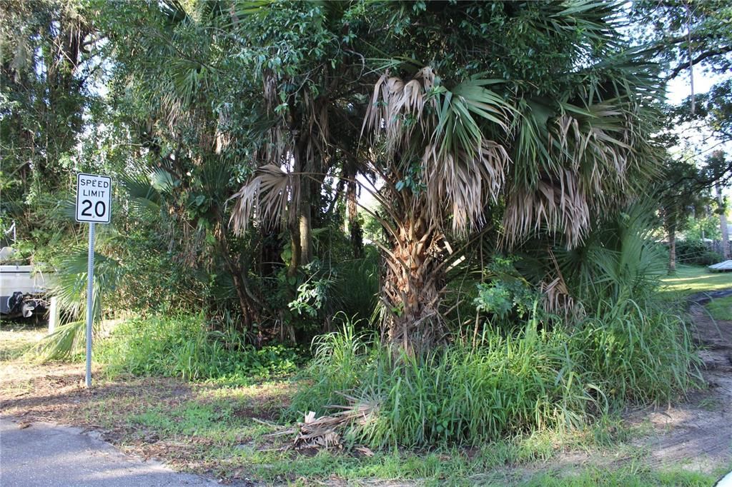 待售: $80,000 (0.28 acres)