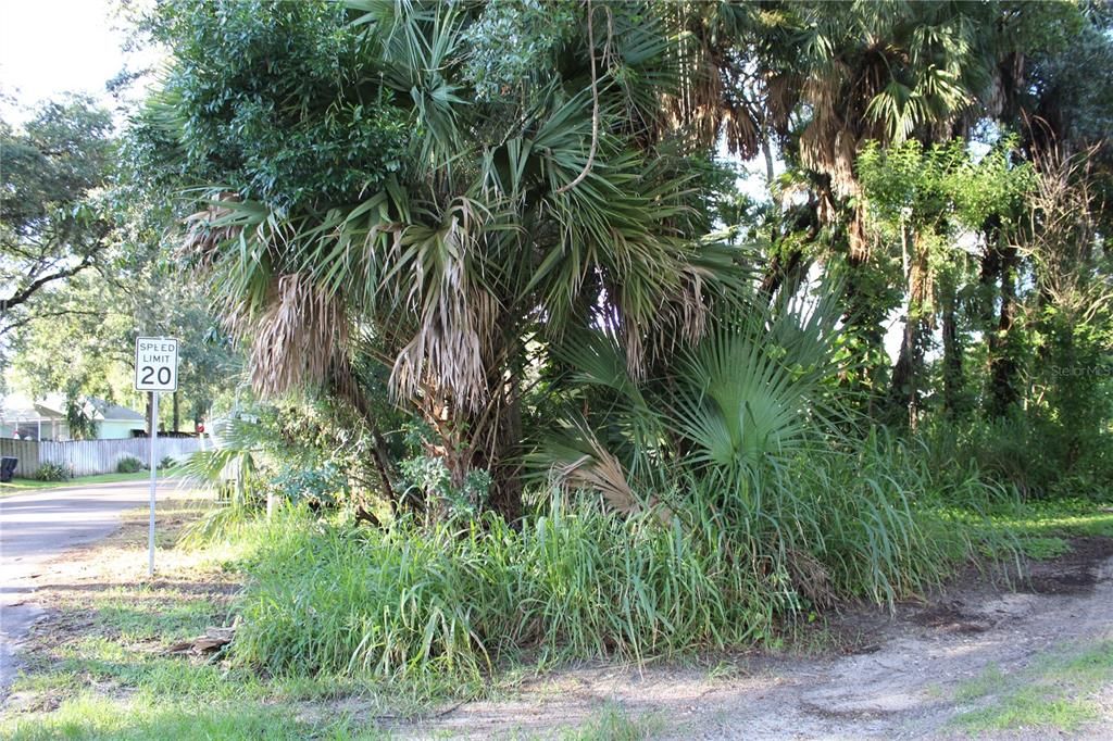 待售: $80,000 (0.28 acres)