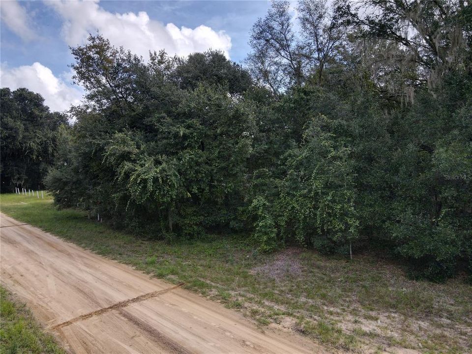 For Sale: $22,000 (0.22 acres)