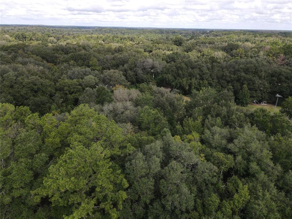 For Sale: $22,000 (0.22 acres)