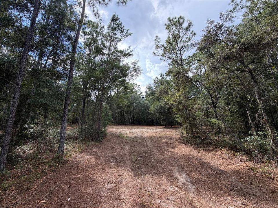 На продажу: $120,000 (2.50 acres)
