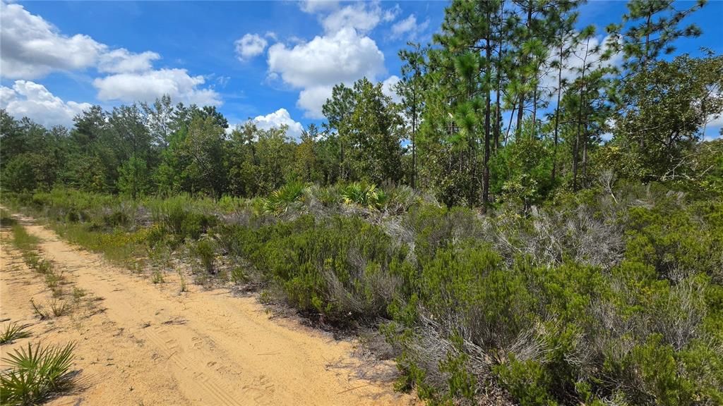 For Sale: $30,000 (0.63 acres)