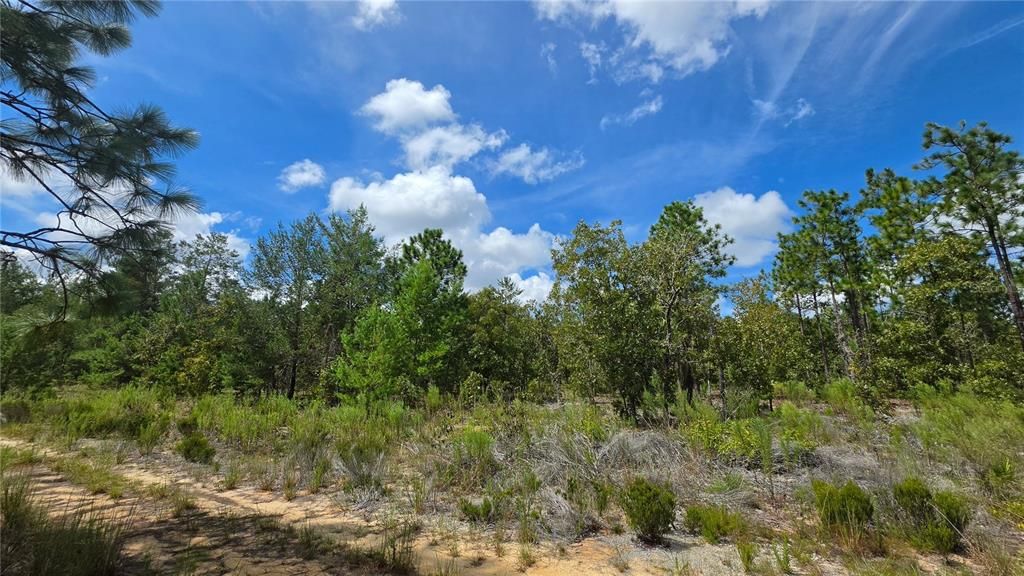 For Sale: $30,000 (0.63 acres)