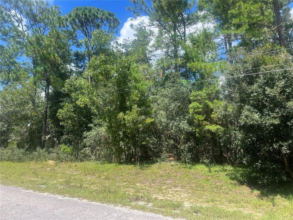 待售: $199,000 (5.00 acres)