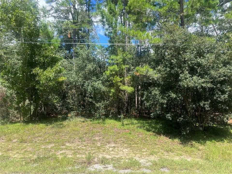 待售: $199,000 (5.00 acres)