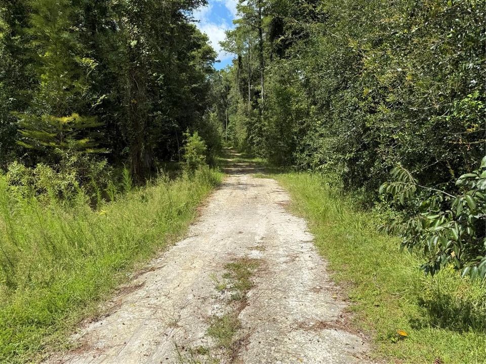 На продажу: $3,497,247 (4 спален, 3 ванн, 2520 Квадратных фут)