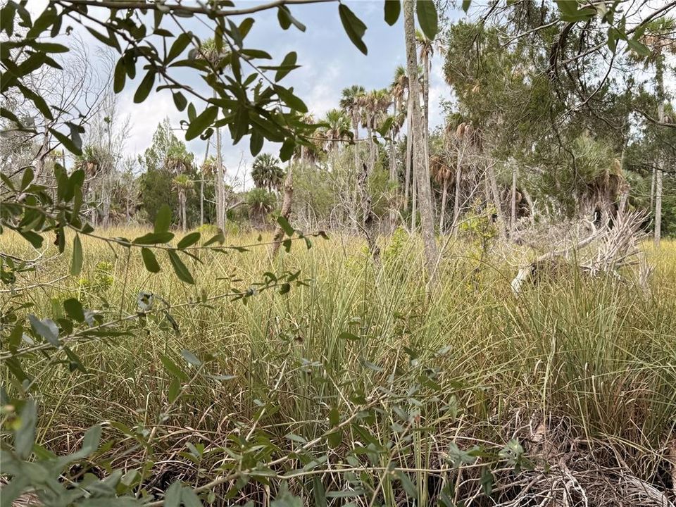 На продажу: $76,000 (9.50 acres)
