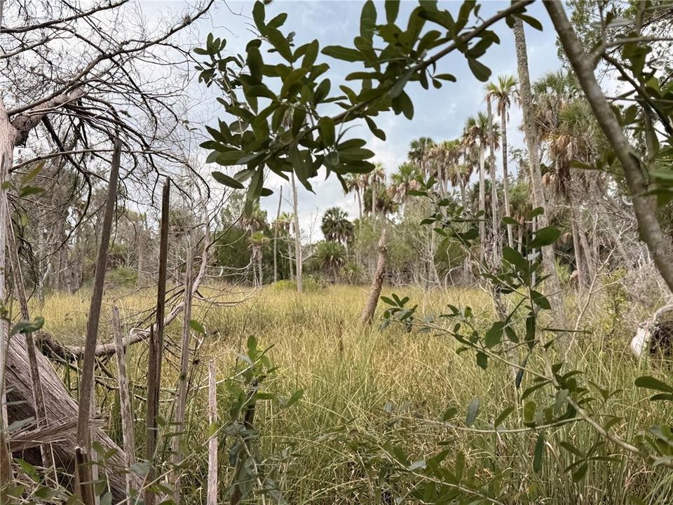 На продажу: $76,000 (9.50 acres)