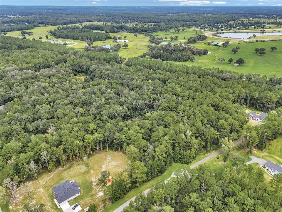 En Venta: $175,000 (8.77 acres)