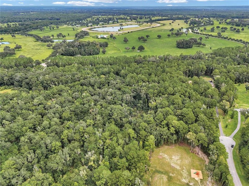En Venta: $175,000 (8.77 acres)