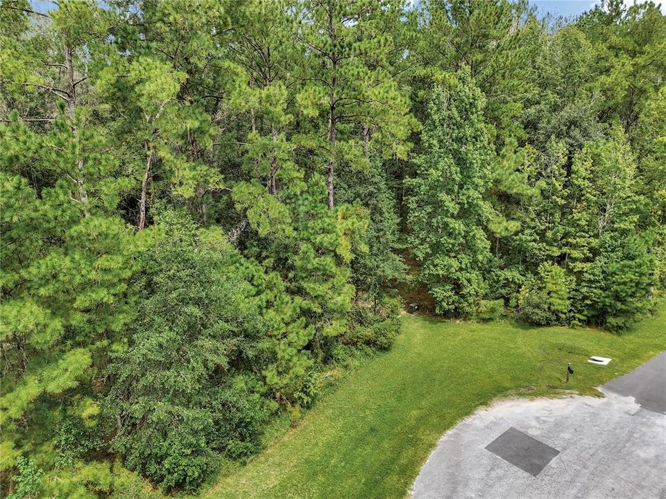 En Venta: $175,000 (8.77 acres)