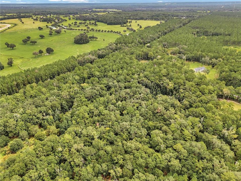 En Venta: $175,000 (8.77 acres)
