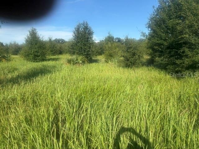 En Venta: $586,500 (5.10 acres)
