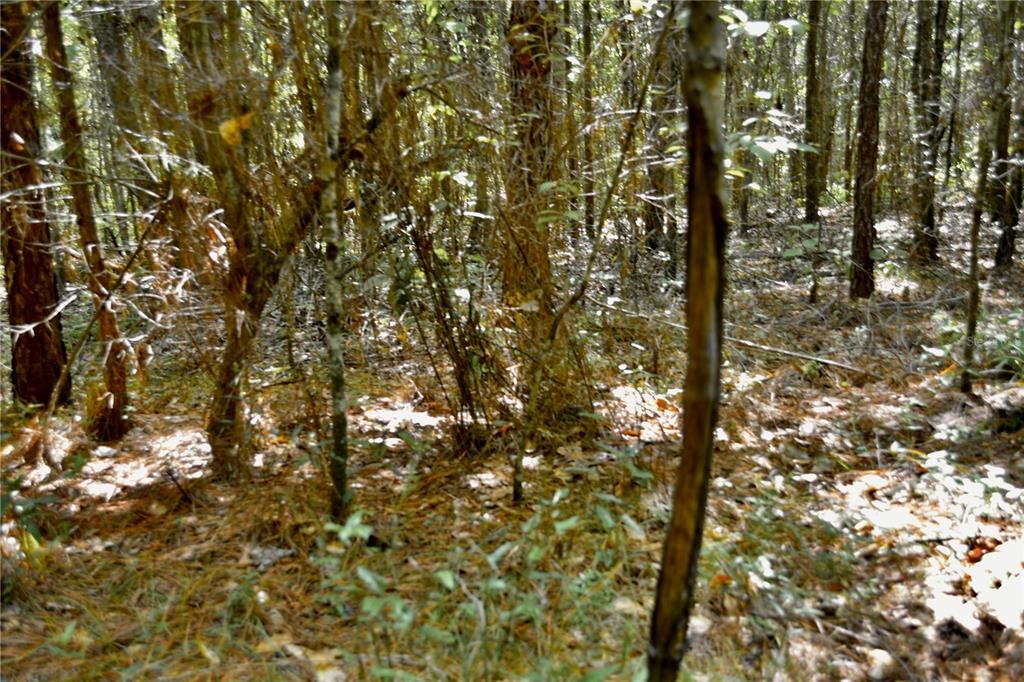 На продажу: $419,999 (87.80 acres)
