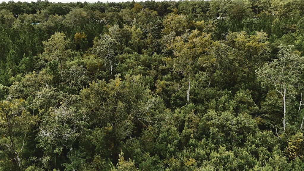 На продажу: $419,999 (87.80 acres)