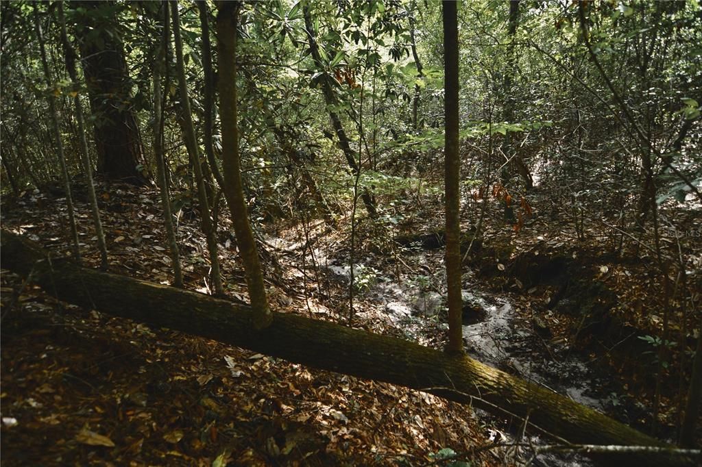 На продажу: $419,999 (87.80 acres)