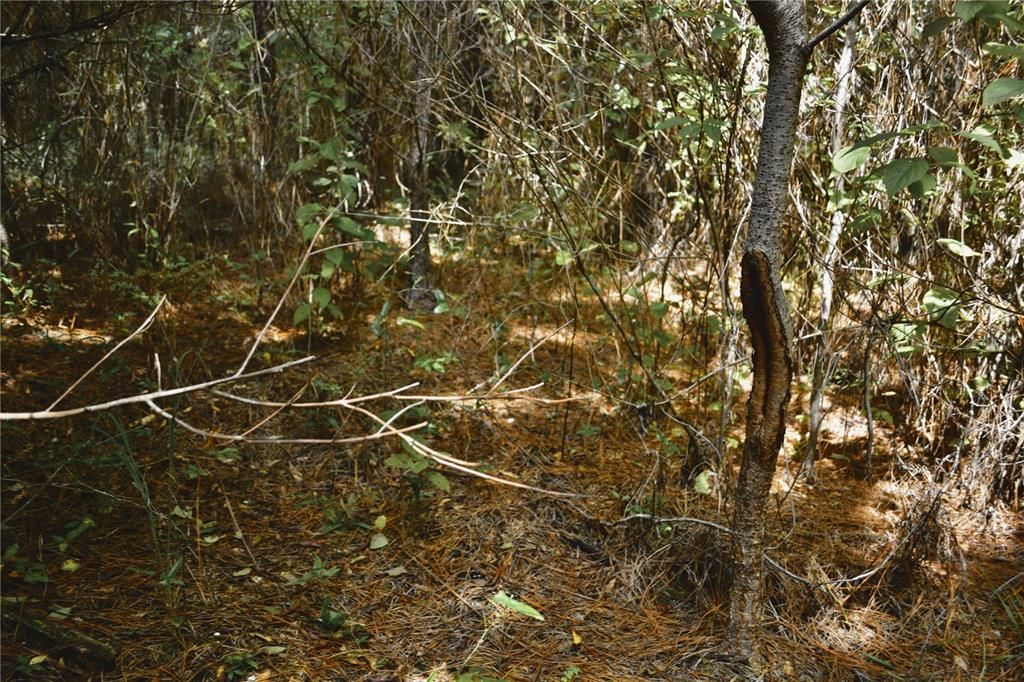На продажу: $419,999 (87.80 acres)