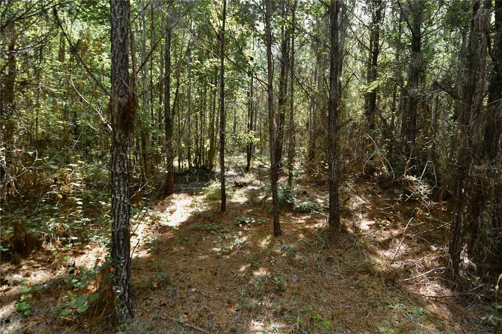На продажу: $419,999 (87.80 acres)