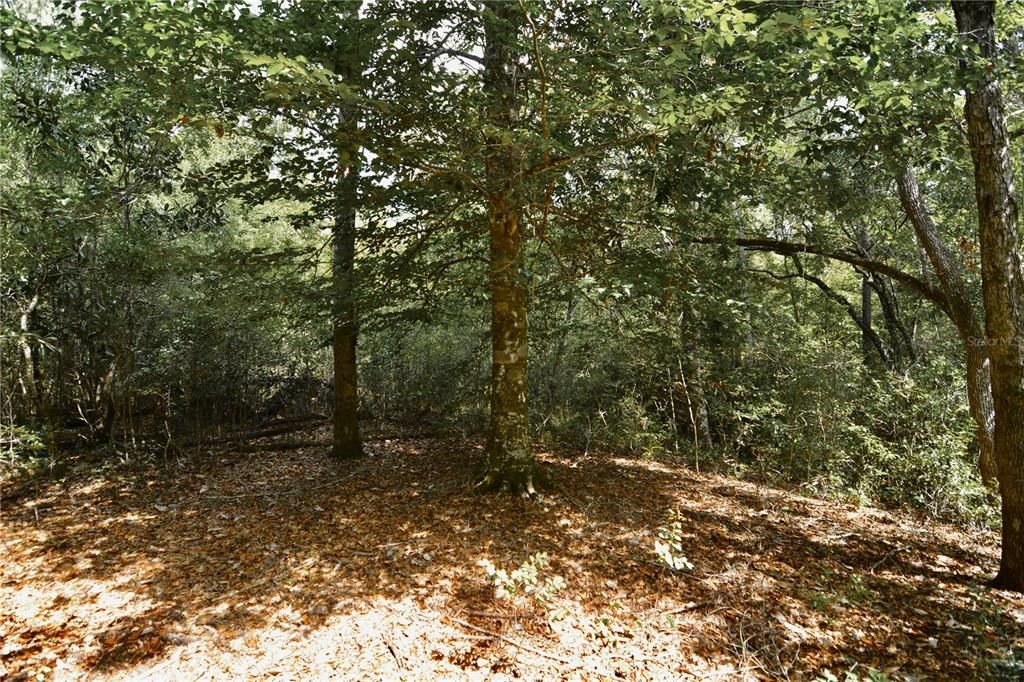 На продажу: $419,999 (87.80 acres)