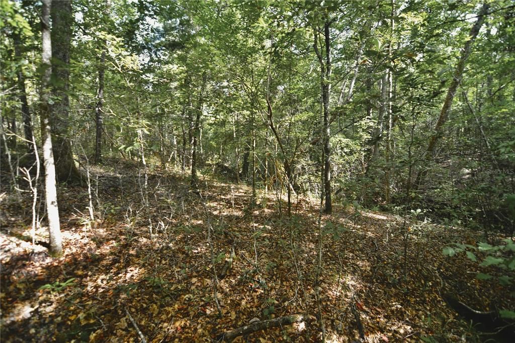 На продажу: $419,999 (87.80 acres)
