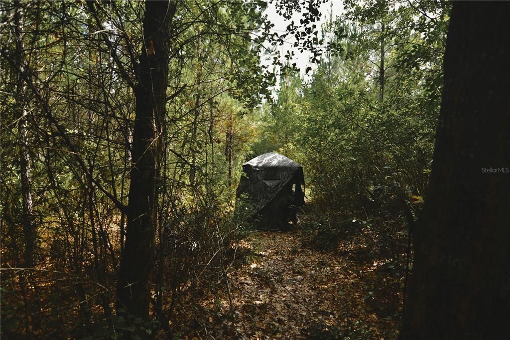 На продажу: $419,999 (87.80 acres)