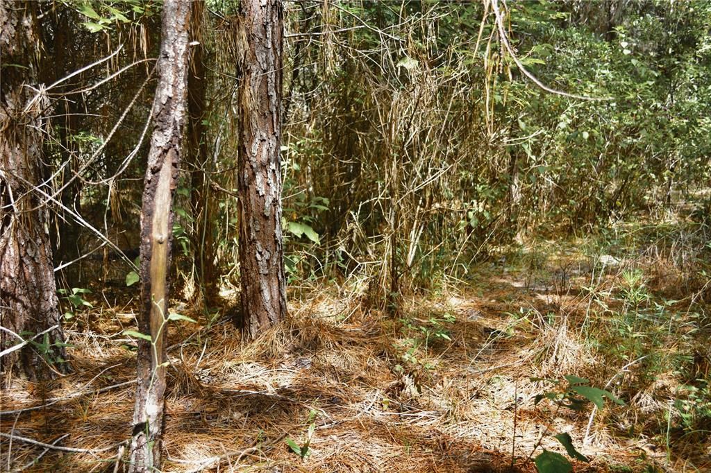 На продажу: $419,999 (87.80 acres)