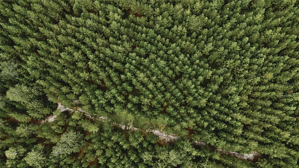 На продажу: $419,999 (87.80 acres)