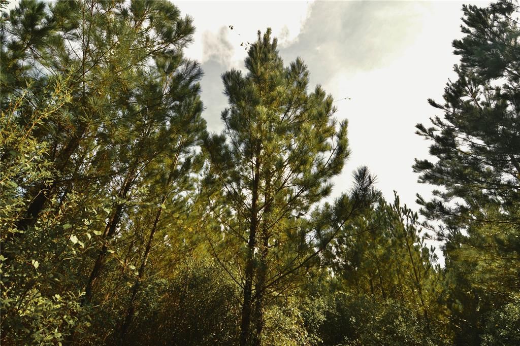 На продажу: $419,999 (87.80 acres)
