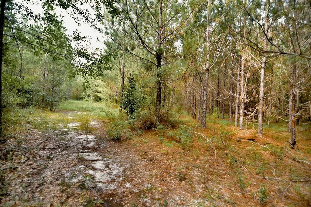 На продажу: $419,999 (87.80 acres)