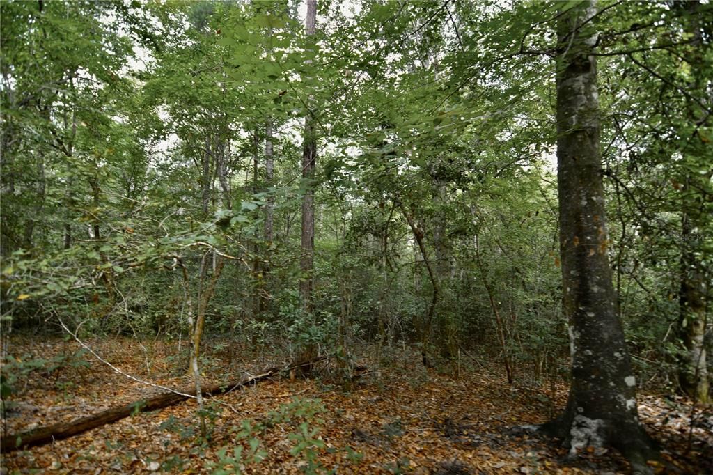 На продажу: $419,999 (87.80 acres)