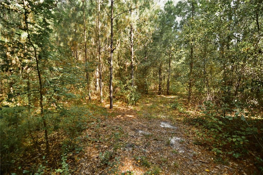 На продажу: $419,999 (87.80 acres)
