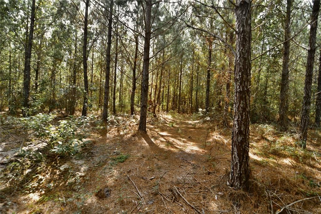На продажу: $419,999 (87.80 acres)