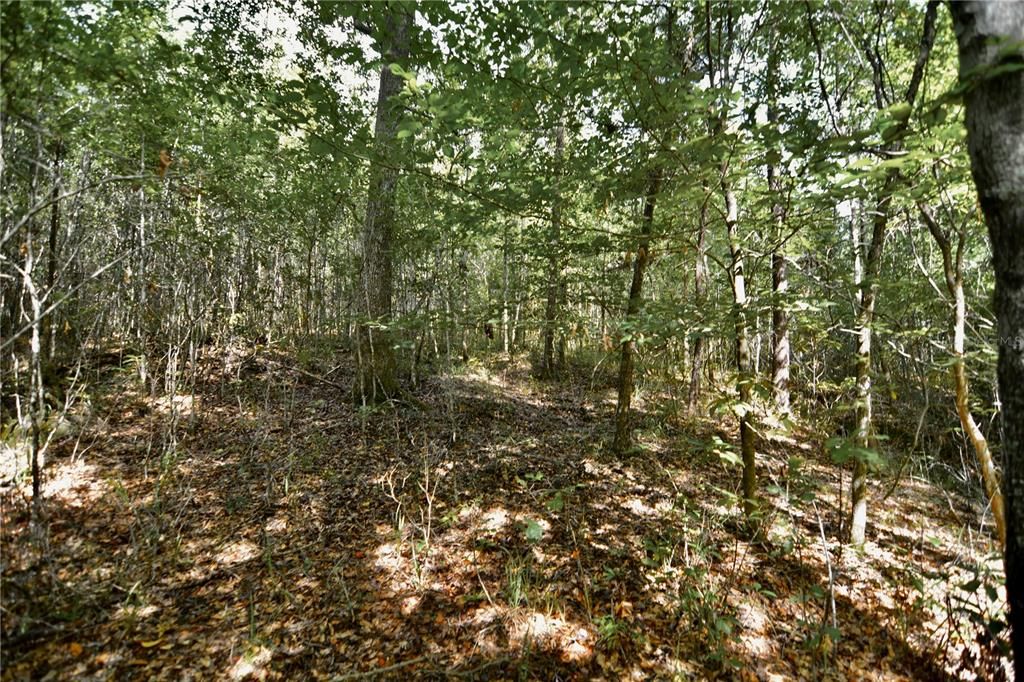 На продажу: $419,999 (87.80 acres)