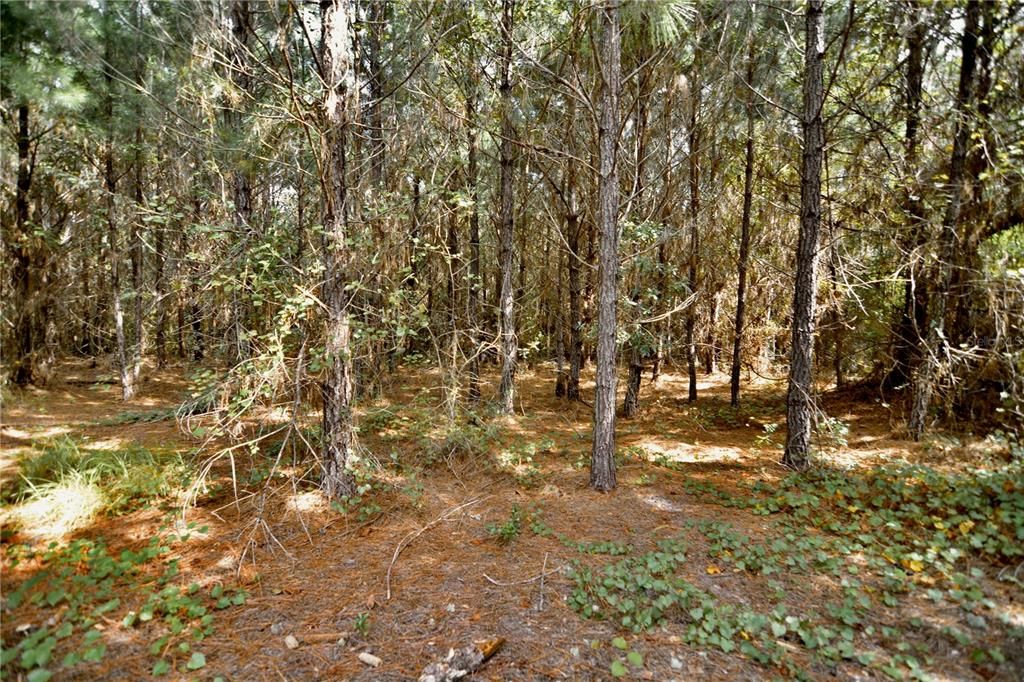 На продажу: $419,999 (87.80 acres)