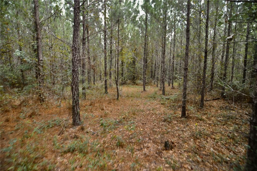 На продажу: $419,999 (87.80 acres)