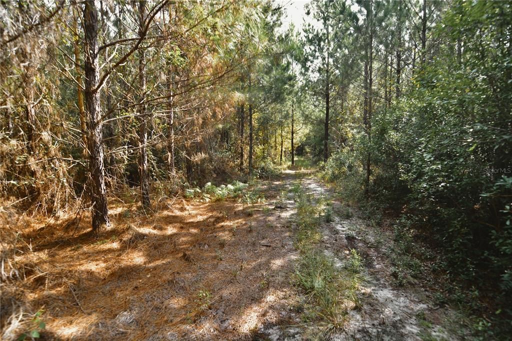 На продажу: $419,999 (87.80 acres)
