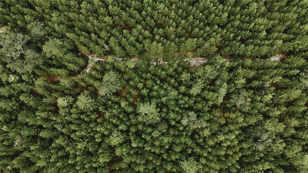 На продажу: $419,999 (87.80 acres)