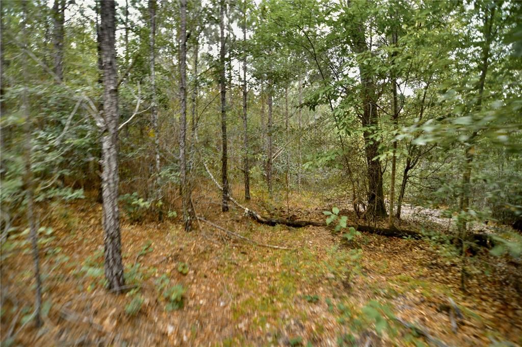 На продажу: $419,999 (87.80 acres)