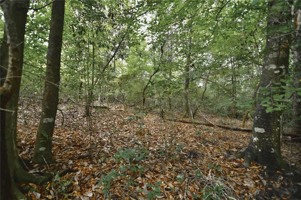 На продажу: $419,999 (87.80 acres)