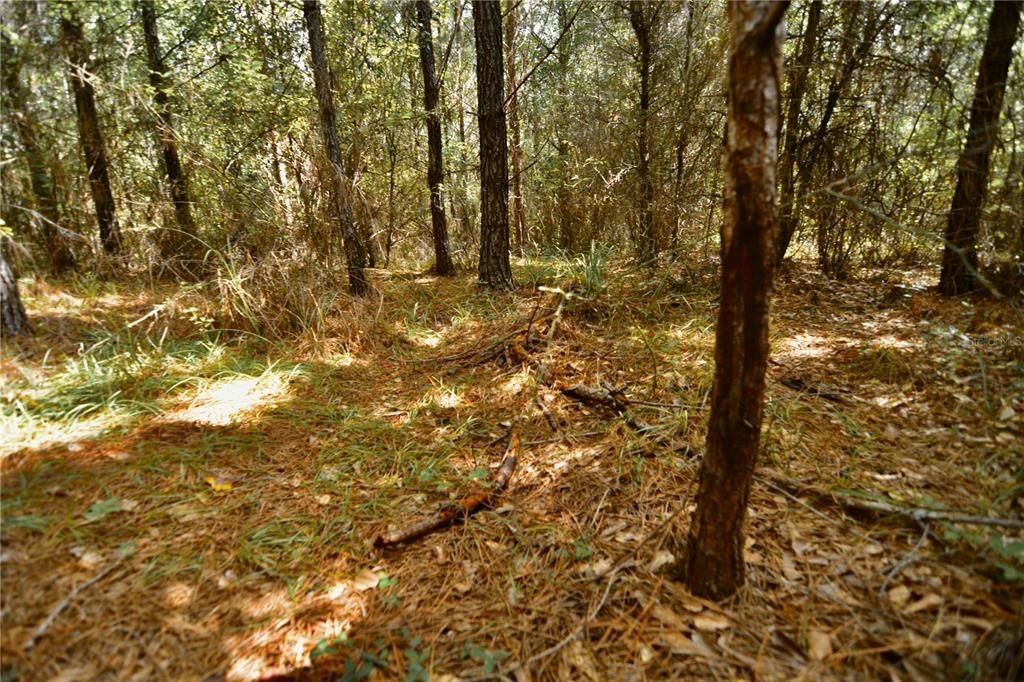 На продажу: $419,999 (87.80 acres)