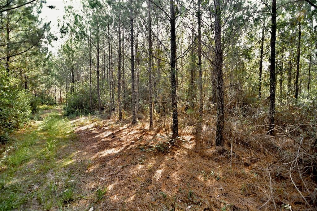 На продажу: $419,999 (87.80 acres)