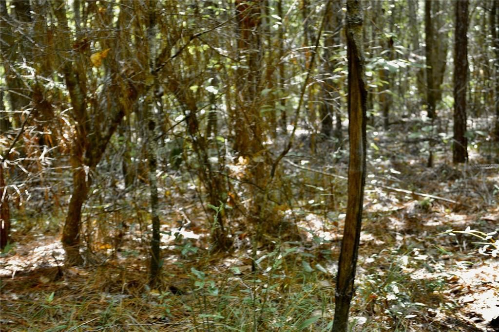 На продажу: $419,999 (87.80 acres)