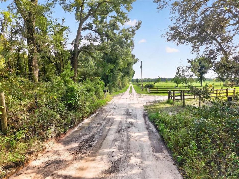 For Sale: $125,000 (10.08 acres)