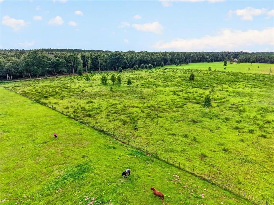 待售: $125,000 (10.08 acres)