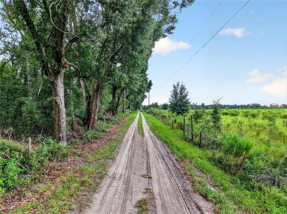 待售: $125,000 (10.08 acres)