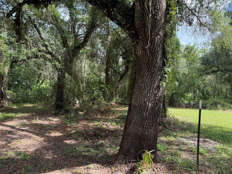 For Sale: $99,900 (2 beds, 2 baths, 900 Square Feet)