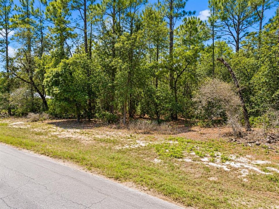 For Sale: $32,000 (0.38 acres)